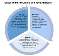 Unser Oracle und Java Audit Prevention Team